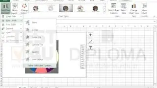 Display the percentage data labels on the active chart.