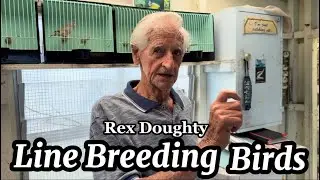 How to Line Breed Birds with Rex Doughty | 60+ years experience 