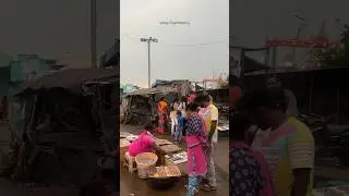 Vizag Fishing Harbour #shorts #youtubeshorts #fishing