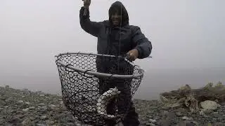 Line Stripping Eagle Lake Trout (Lassen County)