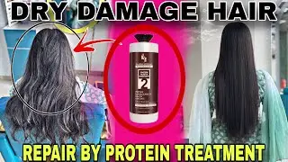 DRY & DAMAGE FRIZZY HAIR REPAIR BY PROTEIN THERAPY || SALON SPECIAL PROFESSIONAL