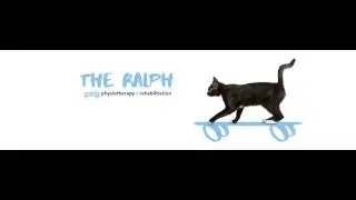 VetPhysioLife Episode 2