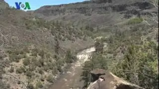 NM YouTube.mov