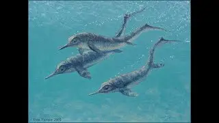 Prehistoric Information- Utatsusaurus