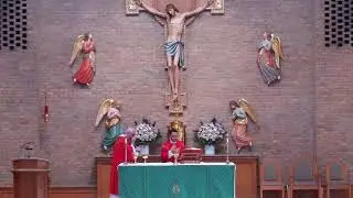 8:00am Mass from Holy Cross Catholic Church (January 23, 2026)