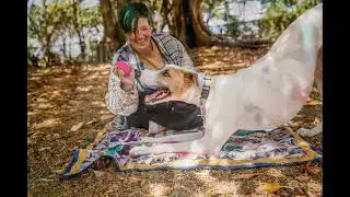 Chino |  Melbourne Pet Photography
