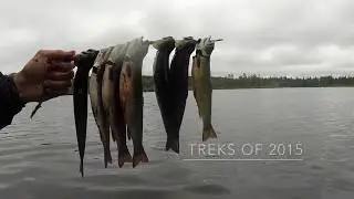 Woods Canada Greatest Explorer - NL Explorer