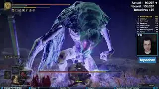 DEATHLESS RANDOMIZER AUTO EQUIP🌟!challenge