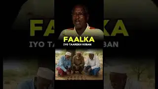 Axmed faarax idaajaa noocyada faalka