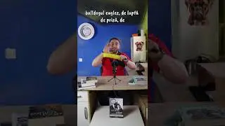 Cum dresezi un buldog francez?