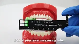 Orthdent Dental Precision Measuring Ruler Medical Aluminium Endodontic Dentistry Tools