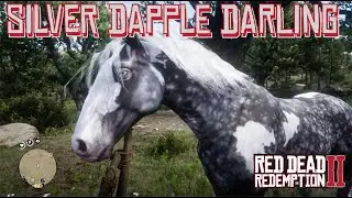 Arthur Field Tests the Silver Dapple Pinto Missouri Fox Trotter in Red Dead Redemption 2