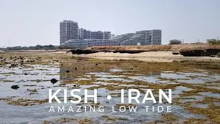 KISH ISLAND IRAN 2022 Walking Tour &bull; Beautiful And Amazing Low Tide On The North Coast | KishWalk