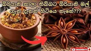 බිරියානි මල් ගැන විස්තර දැන ගමුද.Let's know more about Star anise.