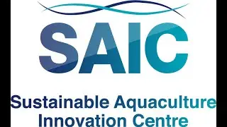 Introducing the new SAIC: Sustainable Aquaculture Innovation Centre