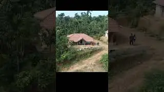 Forest Homestay -  Prak World #Shorts #Chikmangallur
