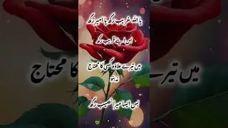 Islamic Shorts Filters #Frontier Islamic Path #please_subscribe_my_channel #please_share_videosshort