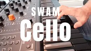 SWAM Cello In Action