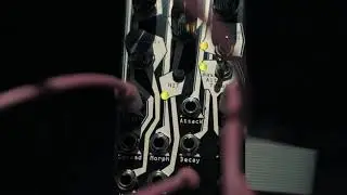 Eurorack Slaps - N.E. Basimilus Iteritas Alter | Calsynth Typhoon | Qu-Bit Elecronix Data Bender