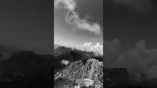 Senza Paura #wildlife #fairless #mountains #escursione #alpine #learning #motivation #shortvideo