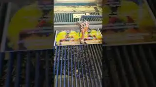Best Home Decor Idea 2026 | Craft Elya Designer Wall Hanging | Interior Inspiration