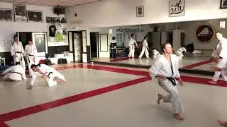 Sutemi waza - Yoseikan