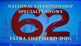 WORLD DOG SHOW 2016 NATIONAL CHAMPIONSHIP 23.06.16 TATRA SHEPHERD DOG