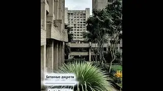 Бетонные джунгли.New generation music.