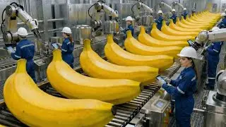 Mega Factory: How Millions of Banana Cakes Are Made Daily! 🍌 (Full Process)