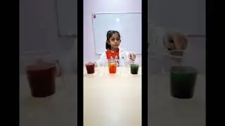 Magic Rainbow Walking Water | Easy Science for Kids! 🌈💧