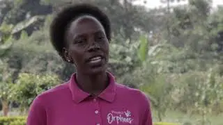 Project Orphans News Ep. 01