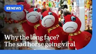 Year of the sad horse: Factory mistake creates viral toy in China | The World | ABC NEWS