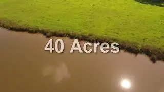 40 Acres of Land for Sale in Bruce MS | Rexanne Collins Market Realty
