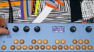 Critter & Guitari - 4wave + 4waveFM for Organelle