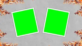 Birthday Photo Slideshow Animation 02 | Green Screen