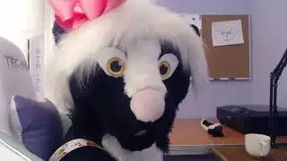2Stripez stream introduction