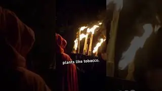 How Amazing is Explore The Ancient Wisdom of Taino Spirituality And Sacred Plants