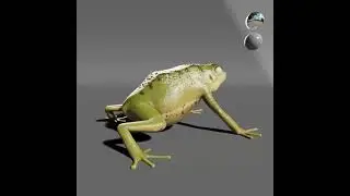 3D Texturing Frog