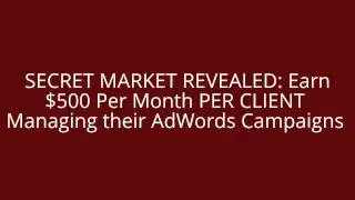 SECRET MARKET REVEALED: Earn $500 Per Month PER CLIENT Managing their AdWords Campaigns