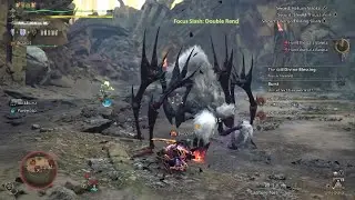 Blossom Ticket gear and Palico equipment (Monster Hunter Wilds)