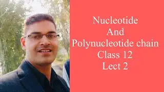Nucleotide and polynucleotide chain formation 12th class lect 2