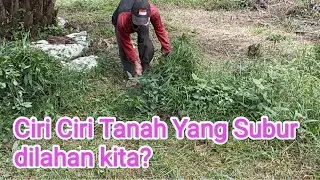 ciri2 tanah yg subur kenali?