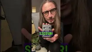 SZCZUR (rat in Polish) Guitar Distortion Pedal #guitarpedal #guitareffects