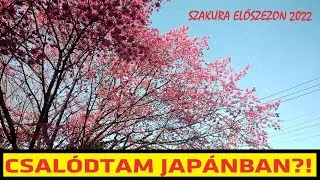Csal&oacute;dtam Jap&aacute;nban?! - Szakura Előszezoni S&eacute;t&aacute;l&oacute;s Vlog