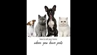 Selling Your Home with Pets: Expert Tips for Success