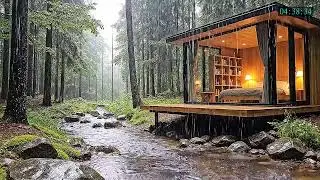 Rain Forest Rain and Piano Music for Mental Reset Sleep