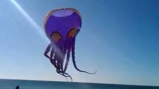 Giant octopus kite