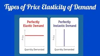 Types of Price Elasticity of Demand | BCom Semester 1 | Microeconomics