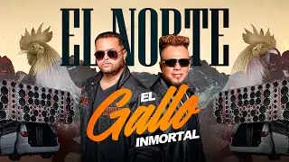 El Norte - El Gallo Inmortal (Audio oficial)