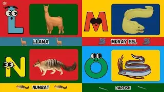 🐾 A to Z Animal Song | Land and Sea Creatures from Archerfish to Zebra 🎶🦓🌊 | #abcd #kids